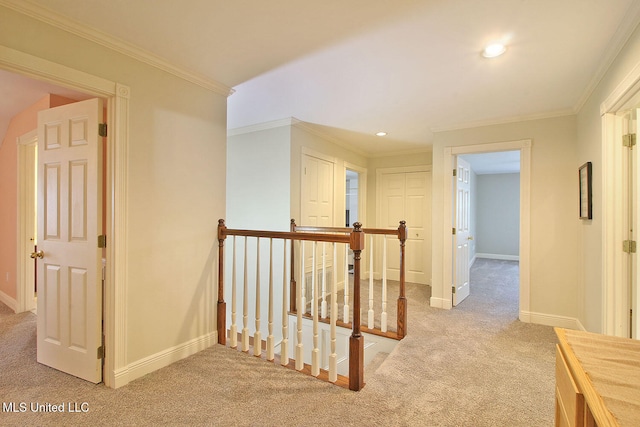 hallway featuring carpet flooring and crown molding