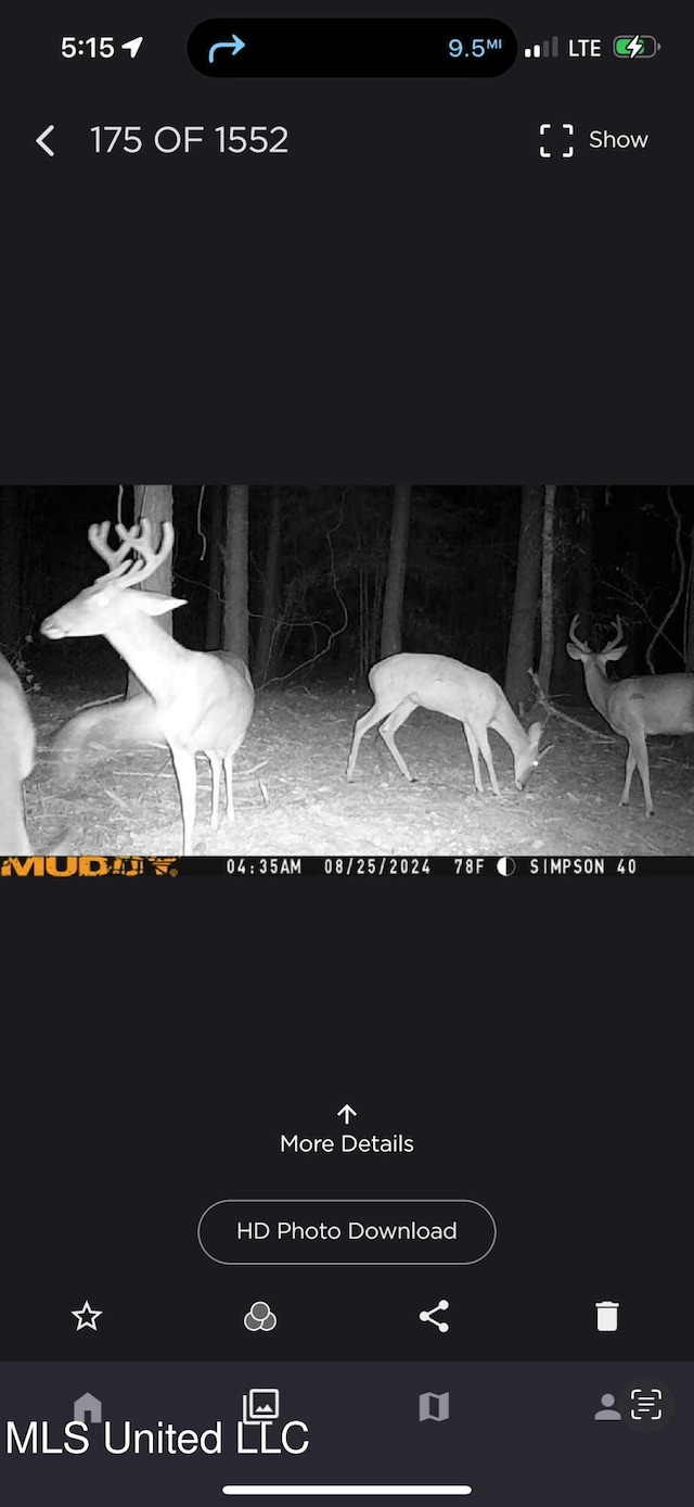 242 Dan George Rd, Mendenhall, MS 39114