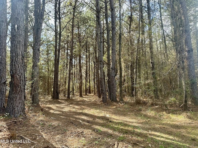 242 Dan George Rd, Mendenhall, MS 39114