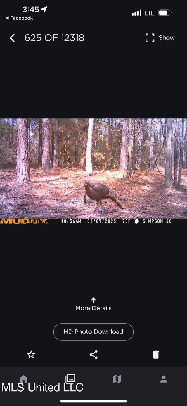 242 Dan George Rd, Mendenhall, MS 39114