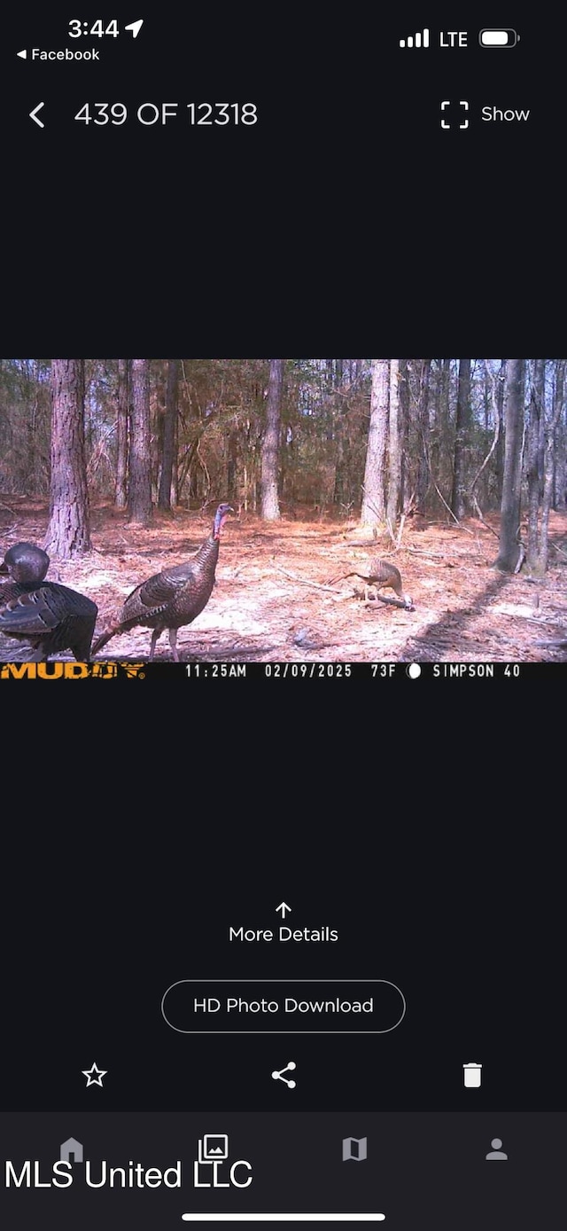 242 Dan George Rd, Mendenhall, MS 39114