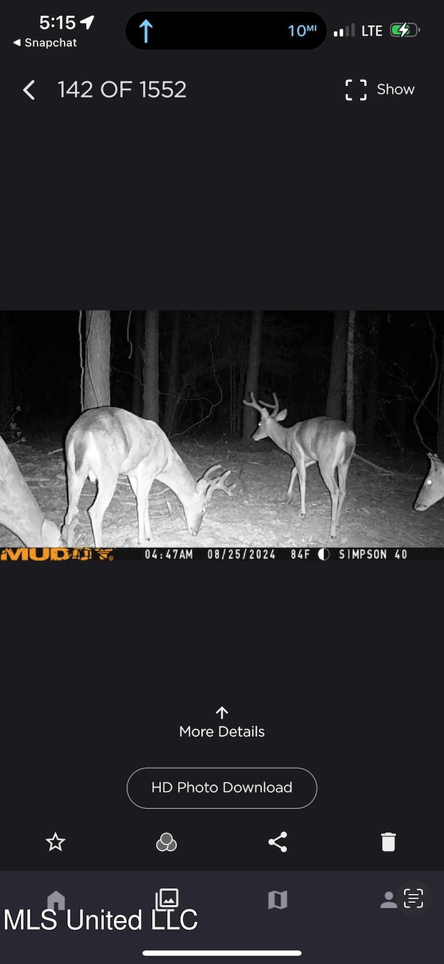 242 Dan George Rd, Mendenhall, MS 39114