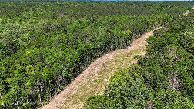 242 Dan George Rd, Mendenhall, MS 39114