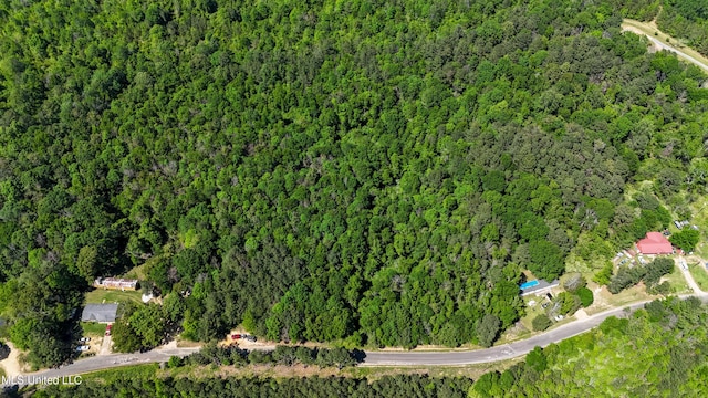 242 Dan George Rd, Mendenhall, MS 39114