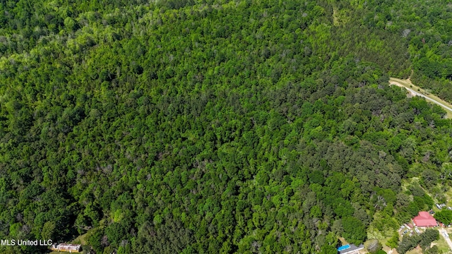 242 Dan George Rd, Mendenhall, MS 39114