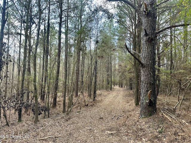 242 Dan George Rd, Mendenhall, MS 39114