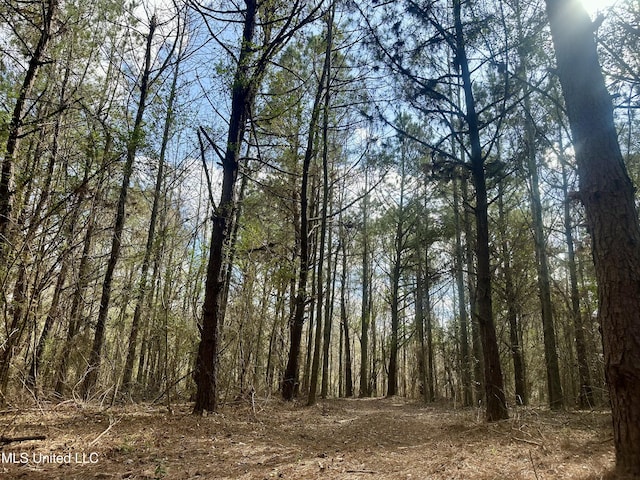 242 Dan George Rd, Mendenhall, MS 39114