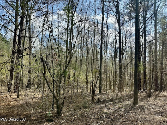 242 Dan George Rd, Mendenhall, MS 39114