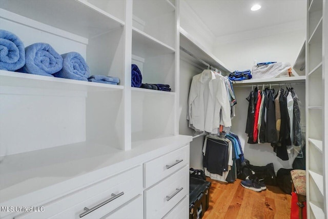 walk in closet with hardwood / wood-style flooring