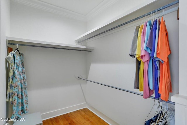 walk in closet with wood-type flooring