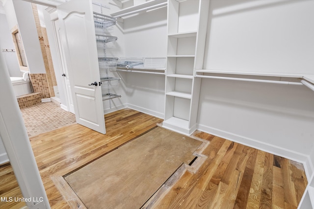 spacious closet featuring wood-type flooring