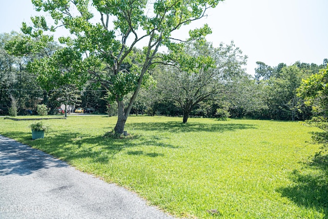 3620 Cochran Ave, Moss Point, MS 39562 - view of grassy yard