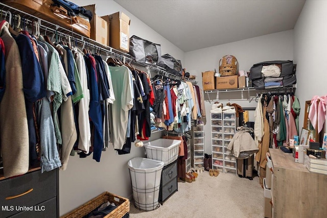 2250 Hyacinth Ln, Hernando, MS 38632 - spacious closet featuring carpet floors