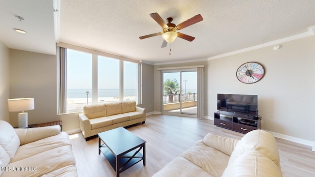 living room with plenty of natural light, a textured ceiling, and light hardwood / wood-style flooring