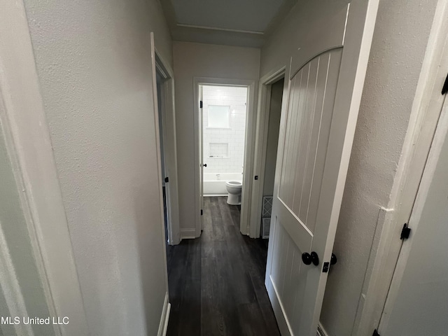 hall featuring dark wood-type flooring