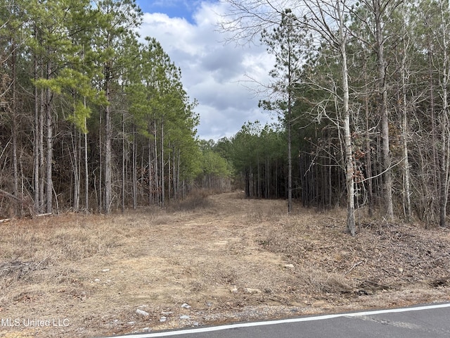 St Johns Rd, Braxton MS, 39044 land for sale