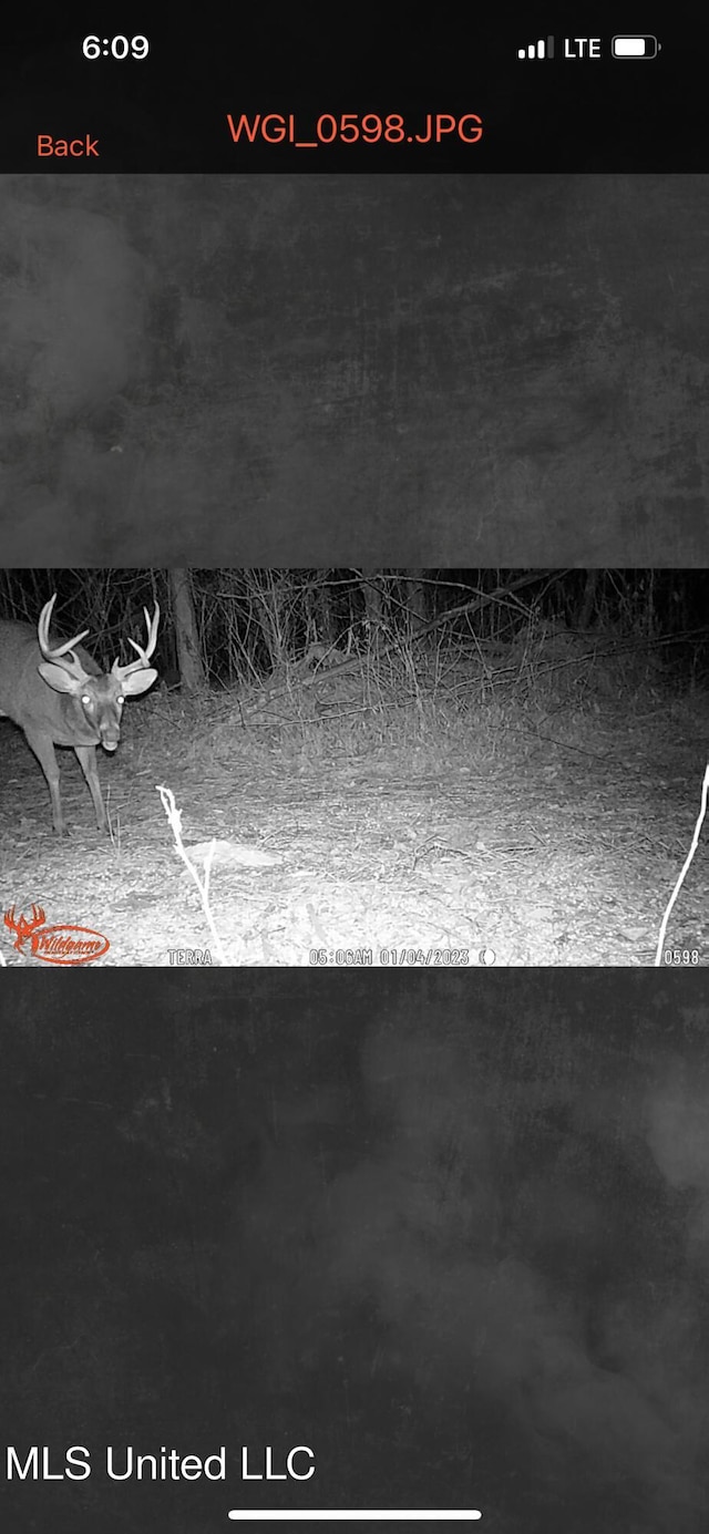 St Johns Rd, Braxton, MS 39044