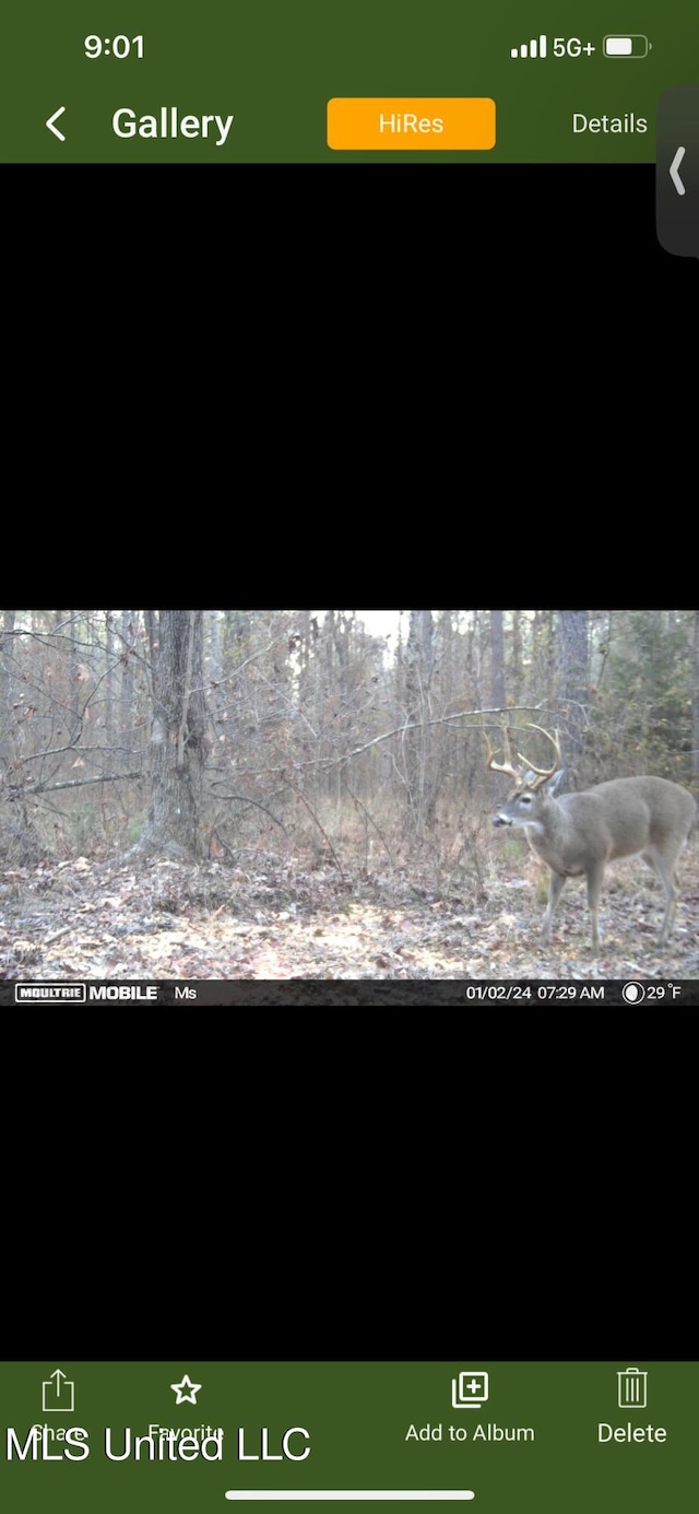 St Johns Rd, Braxton, MS 39044