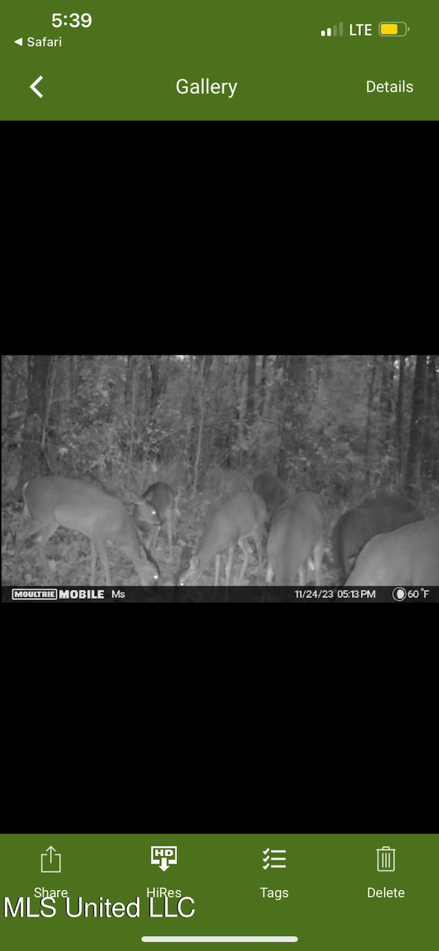 St Johns Rd, Braxton, MS 39044