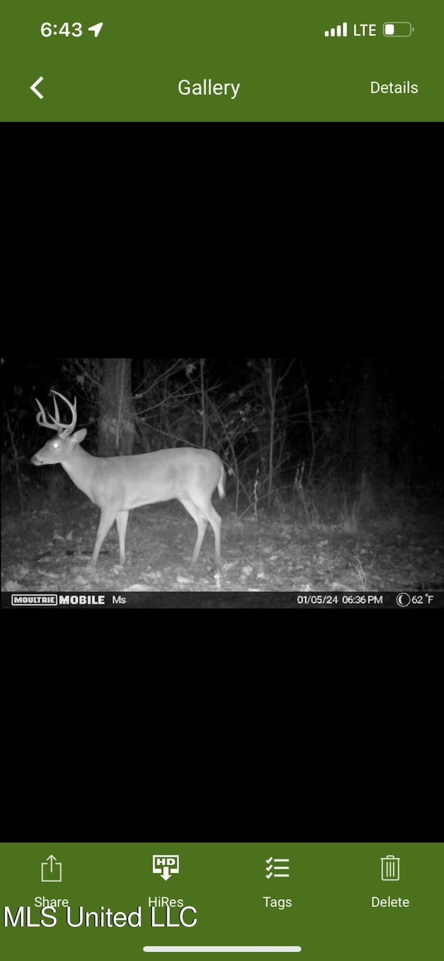 St Johns Rd, Braxton, MS 39044
