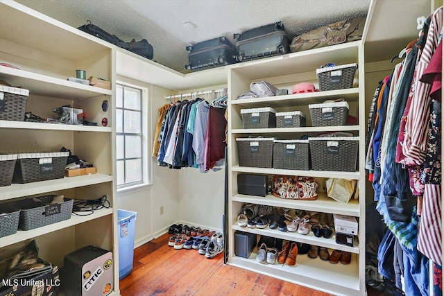 spacious closet with hardwood / wood-style floors