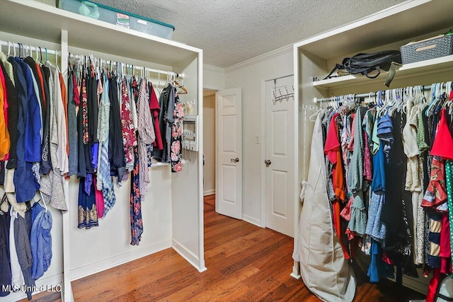 walk in closet featuring wood finished floors