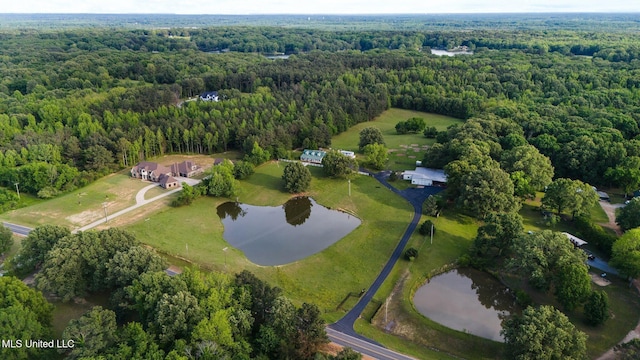 view of property location featuring a forest and a large body of water