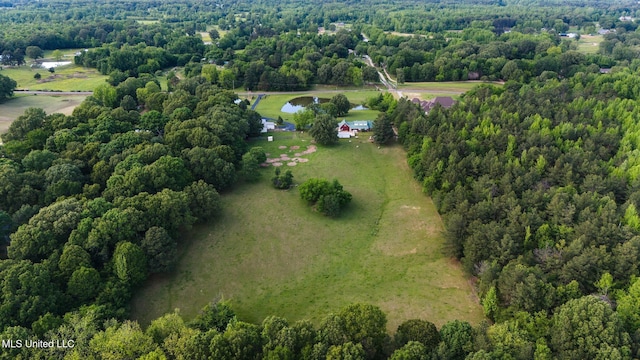 aerial overview of property's location with a large body of water and a forest