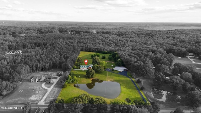 aerial view of property and surrounding area featuring a heavily wooded area, property boundaries highlighted, and a nearby body of water