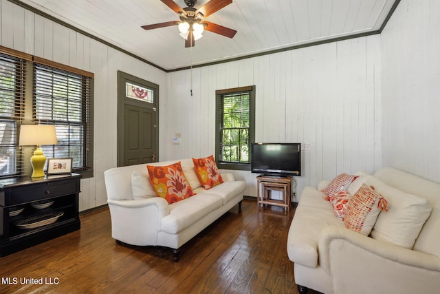 living room with ornamental molding, wooden walls, ceiling fan, and dark hardwood / wood-style flooring