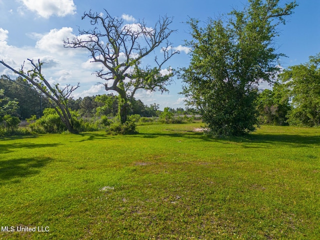 111 Pine Tree Rd, Bay Saint Louis, MS 39520
