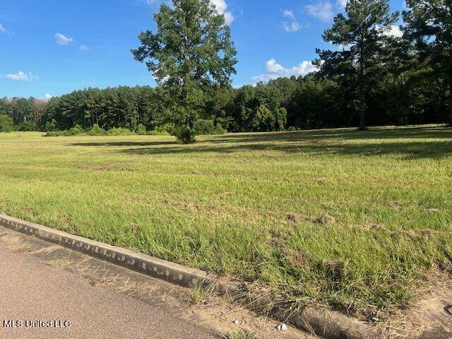 0000 Morgans Ln, Brandon MS, 39042 land for sale