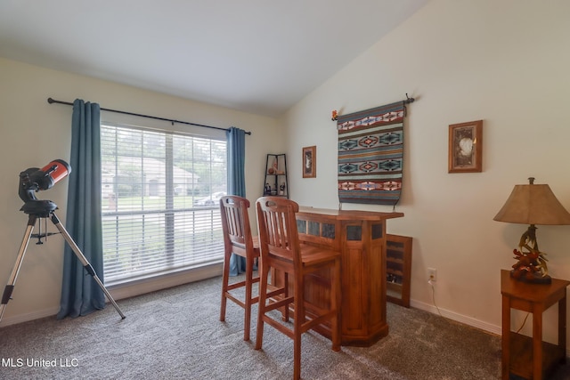 interior space with baseboards, vaulted ceiling, and carpet