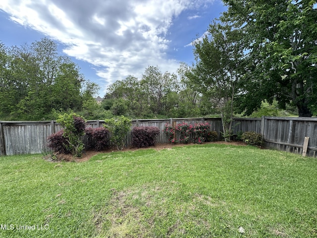 109 Brisage Dr, Madison, MS 39110 - view of yard with a fenced backyard