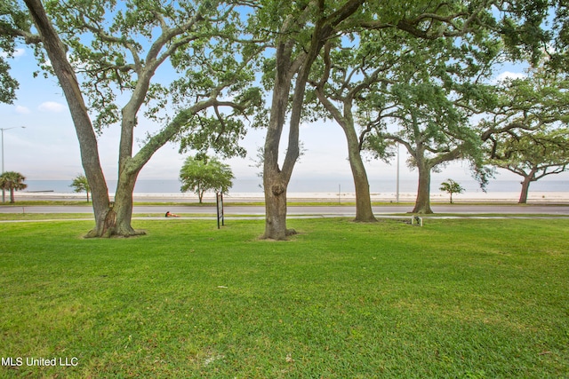 view of yard featuring a water view