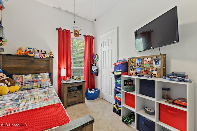 bedroom with carpet flooring