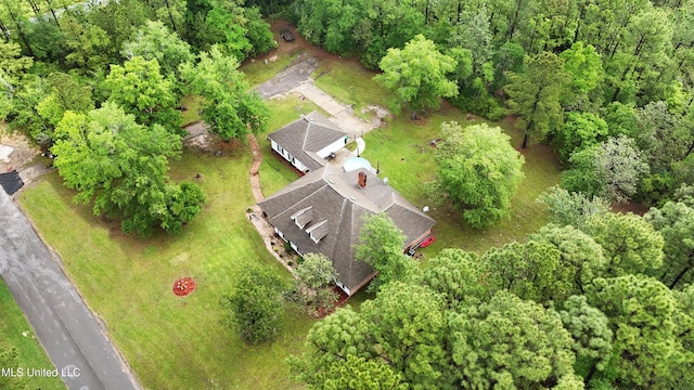 bird's eye view