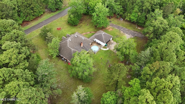bird's eye view