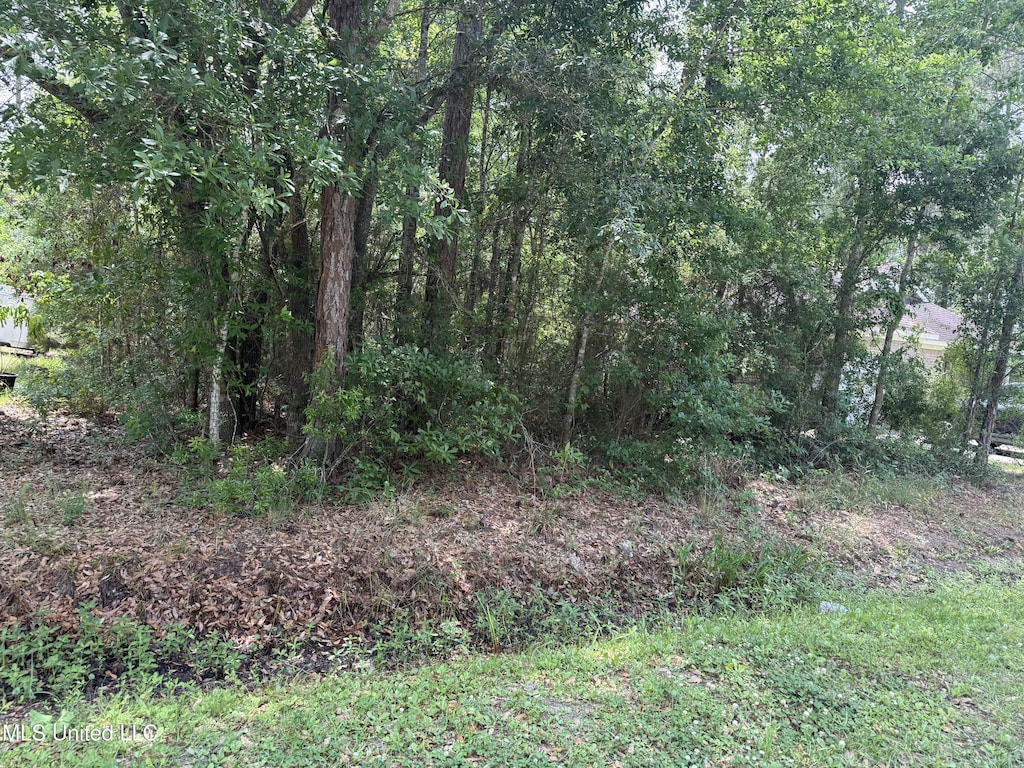 E Jackson St, Bay Saint Louis, MS 39520