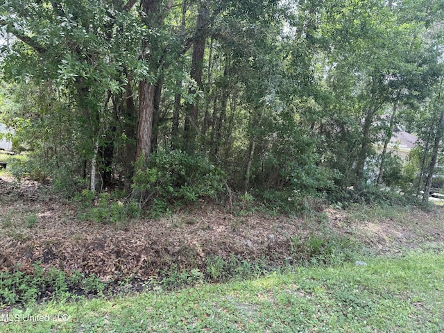 E Jackson St, Bay Saint Louis, MS 39520