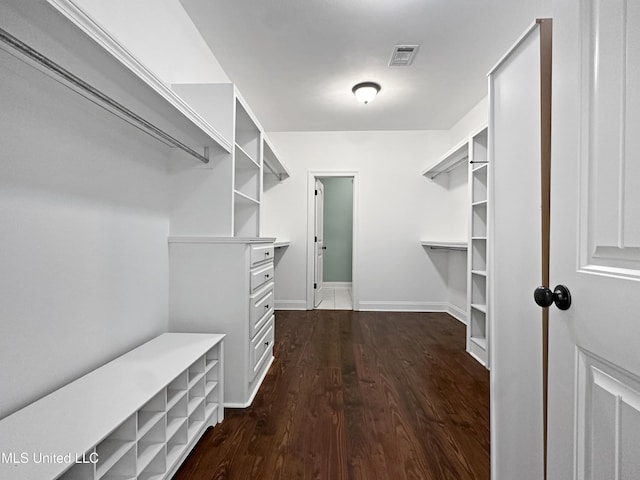 spacious closet featuring dark wood finished floors
