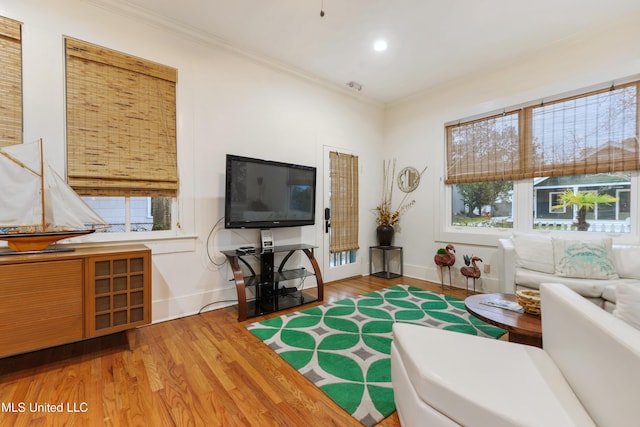 living room with crown molding and light hardwood / wood-style flooring