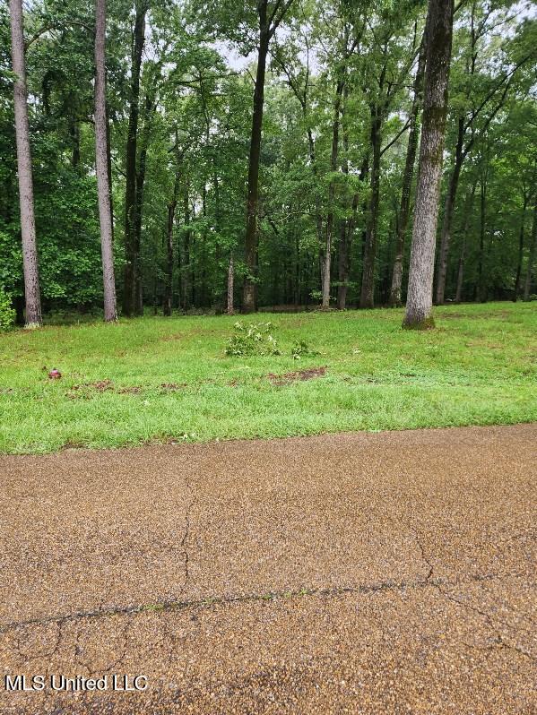 LOT10 Country Squire Rd, Natchez MS, 39120 land for sale