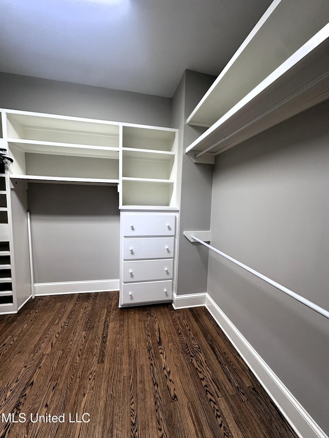 spacious closet with dark wood-type flooring