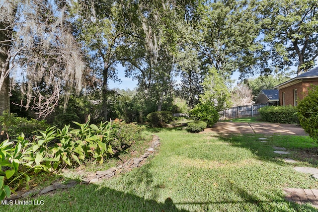 view of yard featuring a patio