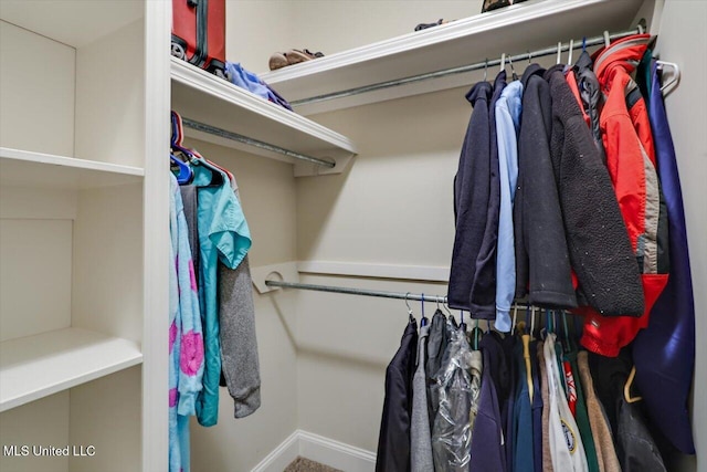 218 Greenfield Ridge Dr, Brandon, MS 39042 - view of walk in closet