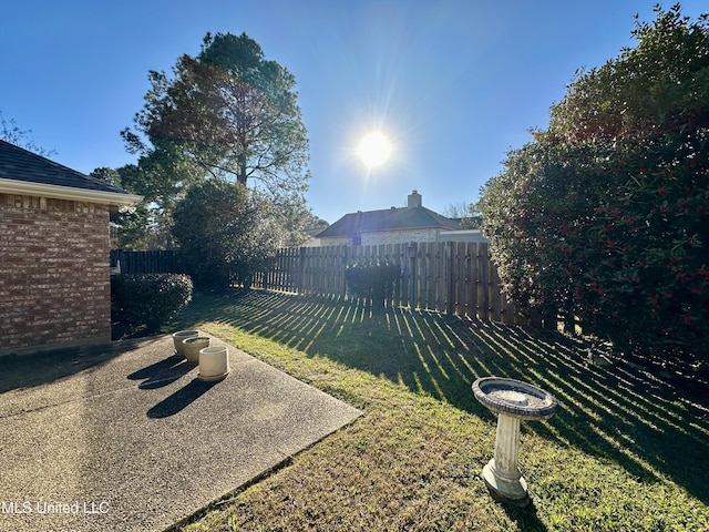 view of yard with a patio