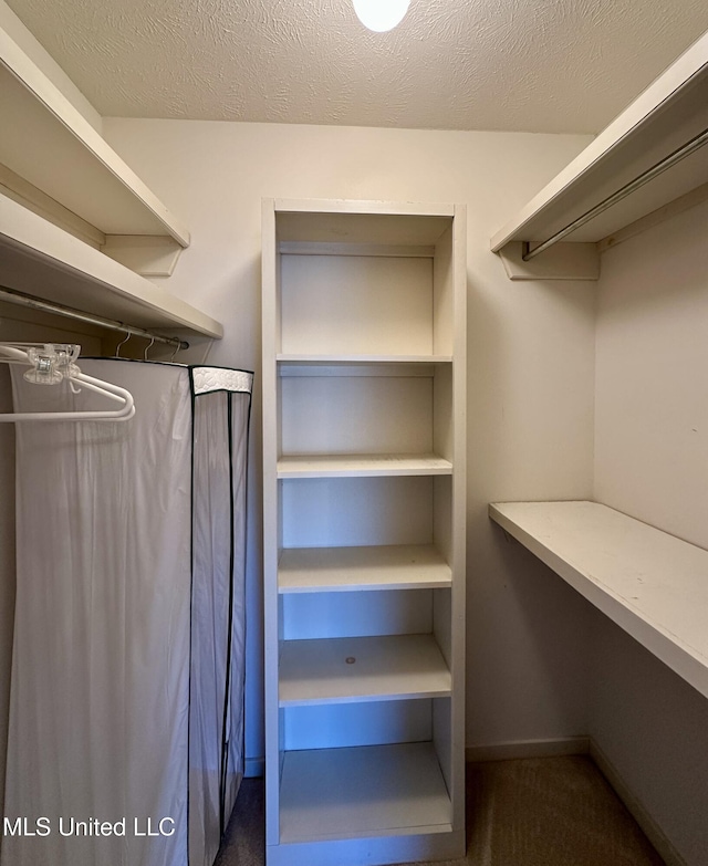 walk in closet featuring dark colored carpet