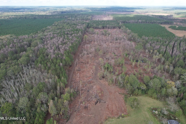 Holly Bush Rd, Pelahatchie, MS 39145