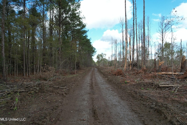 Holly Bush Rd, Pelahatchie, MS 39145